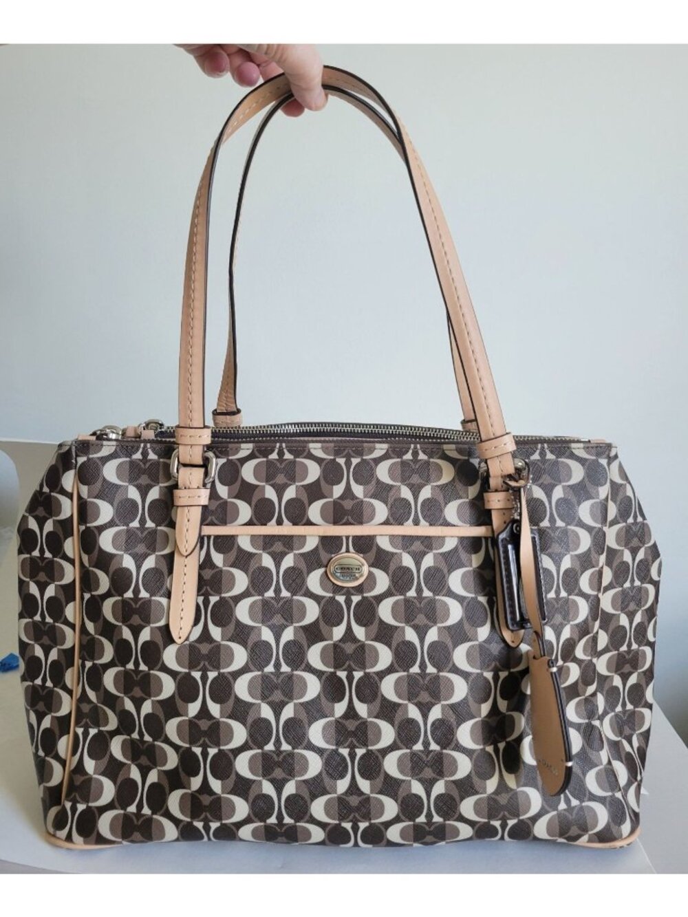 Coach Peyton Dream Bag C Jordan Double Zip Carryall Y2k Brown Bag Shoulder bag